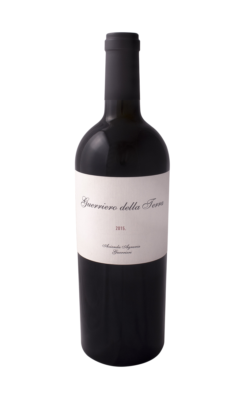 Guerriero della  Terra 